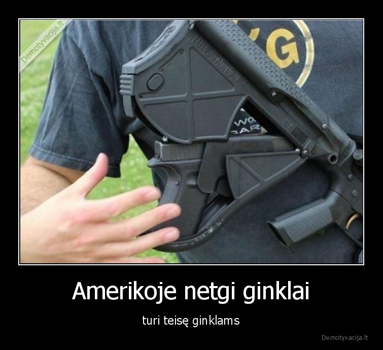 ginklai,amerika,teise