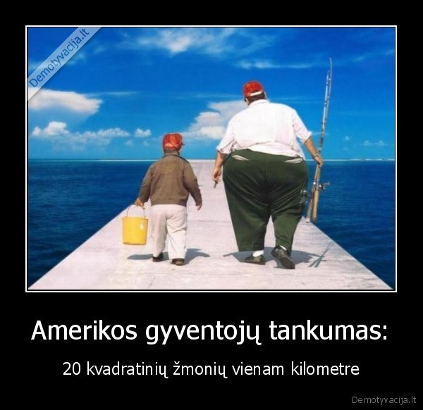 Amerikos gyventojų tankumas: