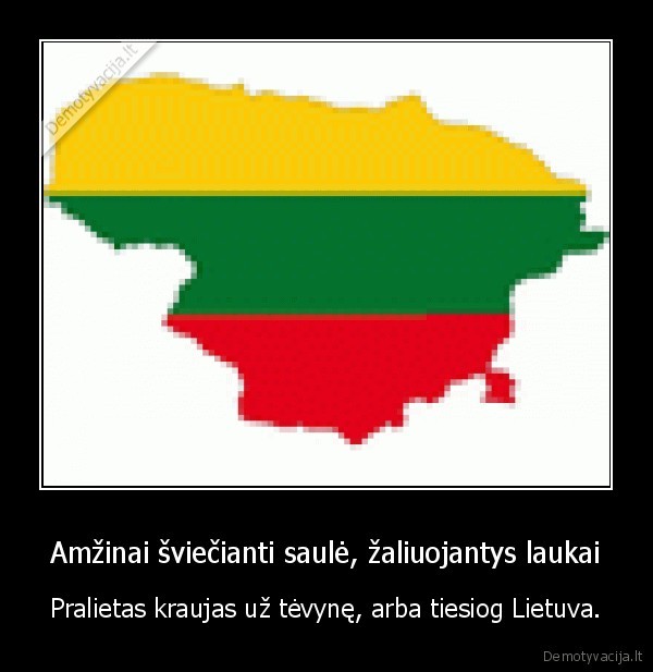 lietuva,vienybe,veliava,troliai, pyderai