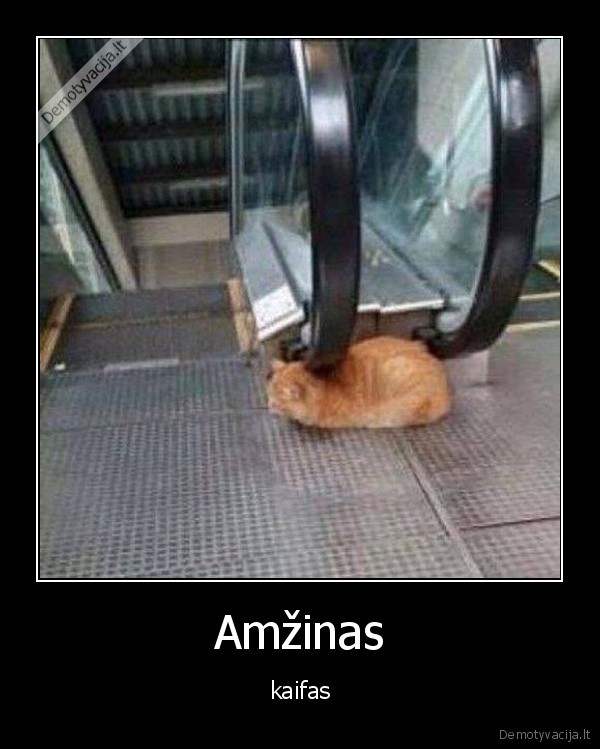 kaifas,amzinas