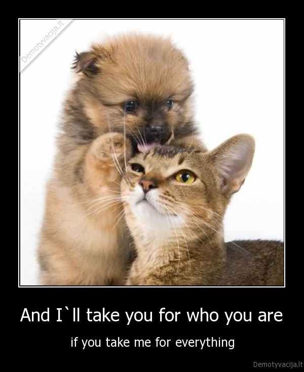 And I`ll take you for who you are
