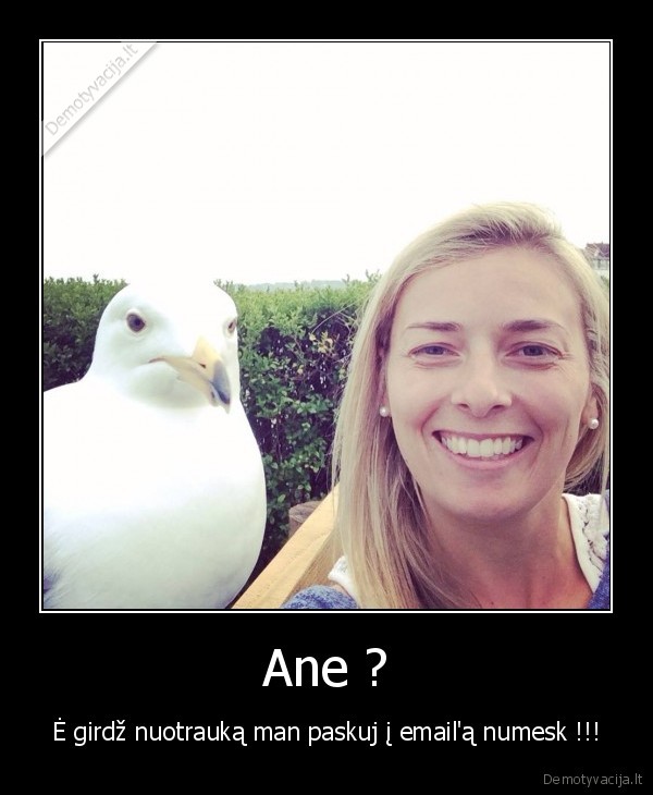Ane ?