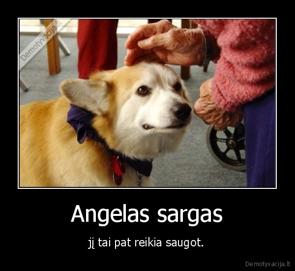 Angelas sargas