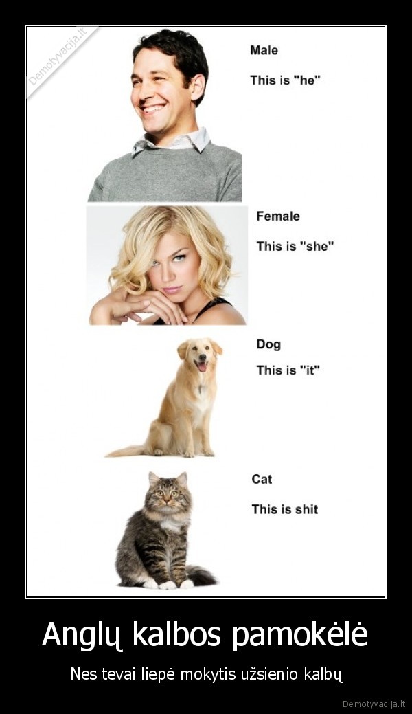 cat, is, shit, ant, this, is, it, d