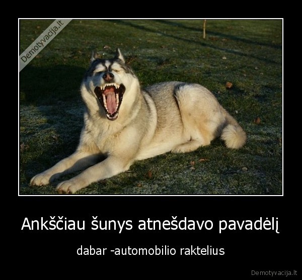 Ankščiau šunys atnešdavo pavadėlį