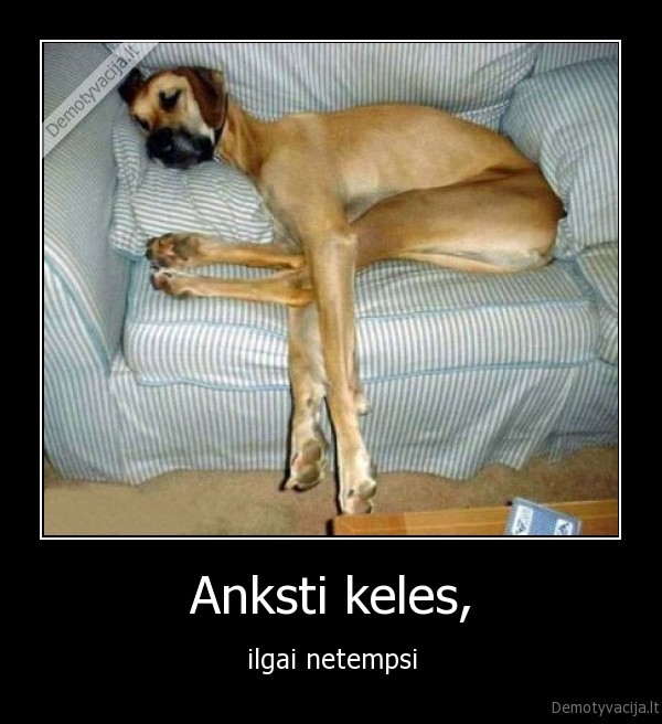 Anksti keles,