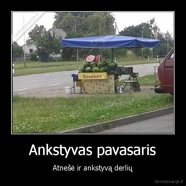 braskes,arbuzai,turgus