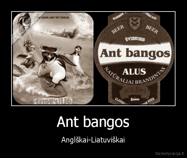 Ant bangos