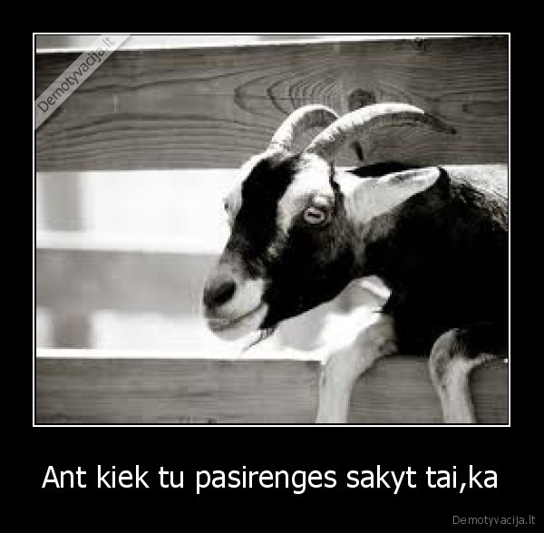 Ant kiek tu pasirenges sakyt tai,ka