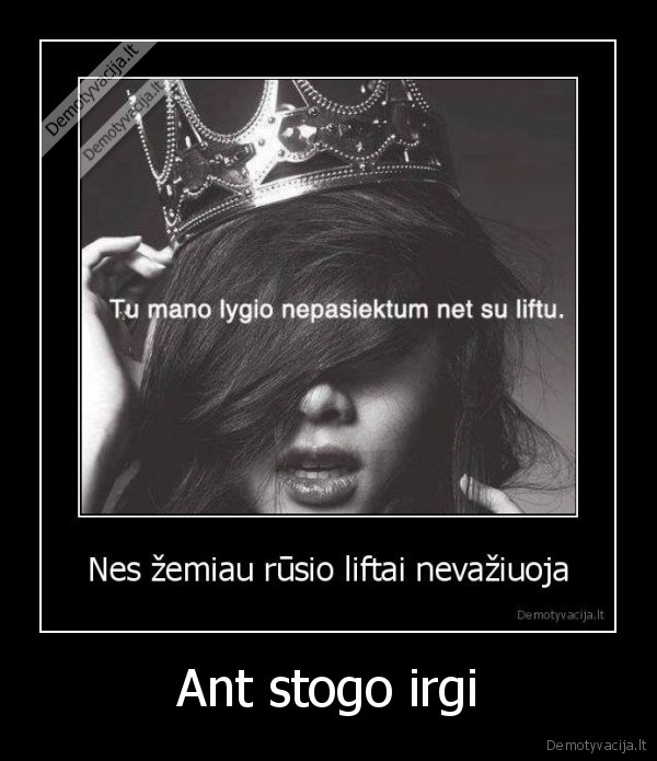 Ant stogo irgi