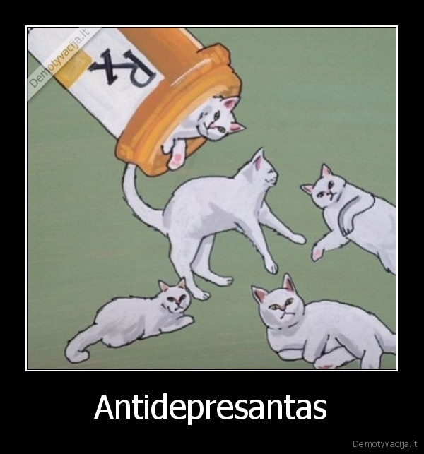 katinas