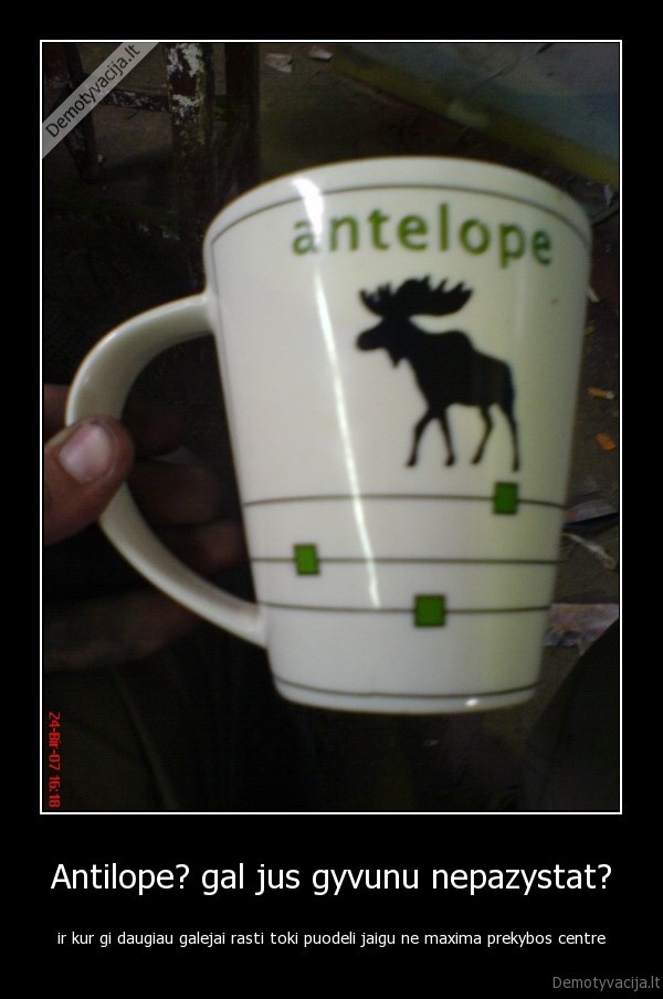 Antilope? gal jus gyvunu nepazystat?