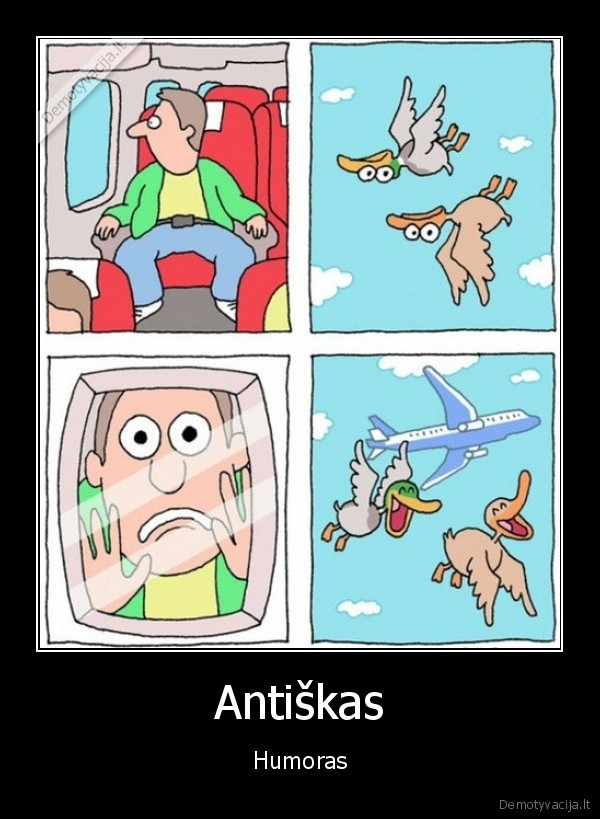 antys, prikolina,skrydis, lektuvu