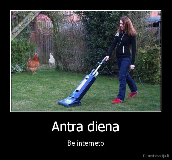 internetas,siurbia, zole,nera, ka, veikti