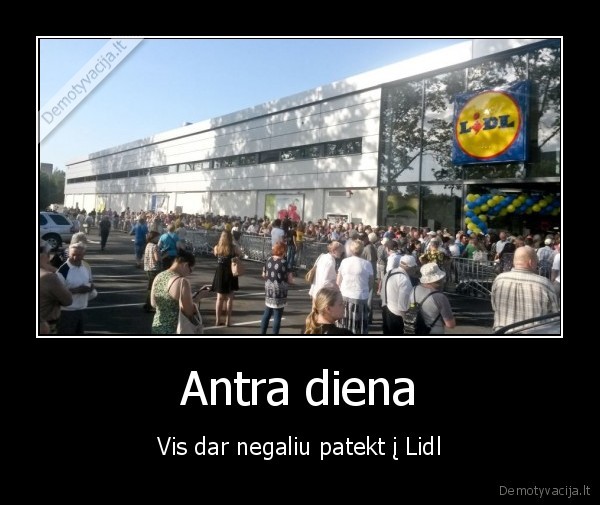 lidl,gyvenimas,juokinga,parduotuve,kainos,linksma,eile