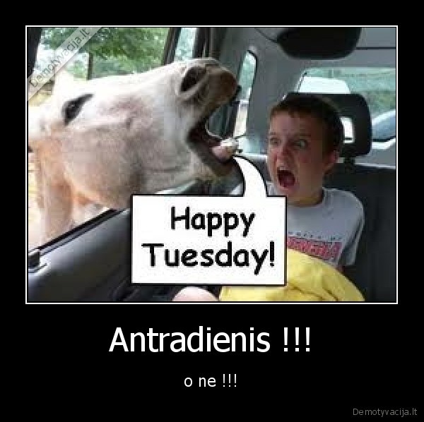 tuesday