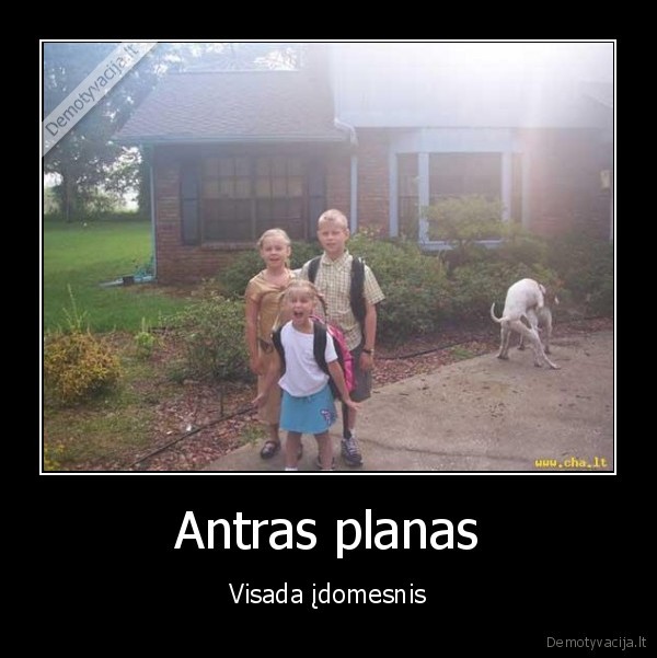 suo, nuotrauka, foto