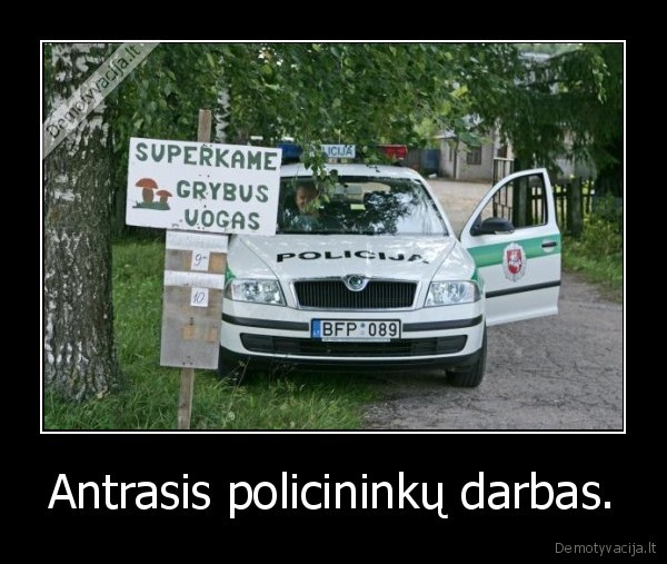 Antrasis policininkų darbas.