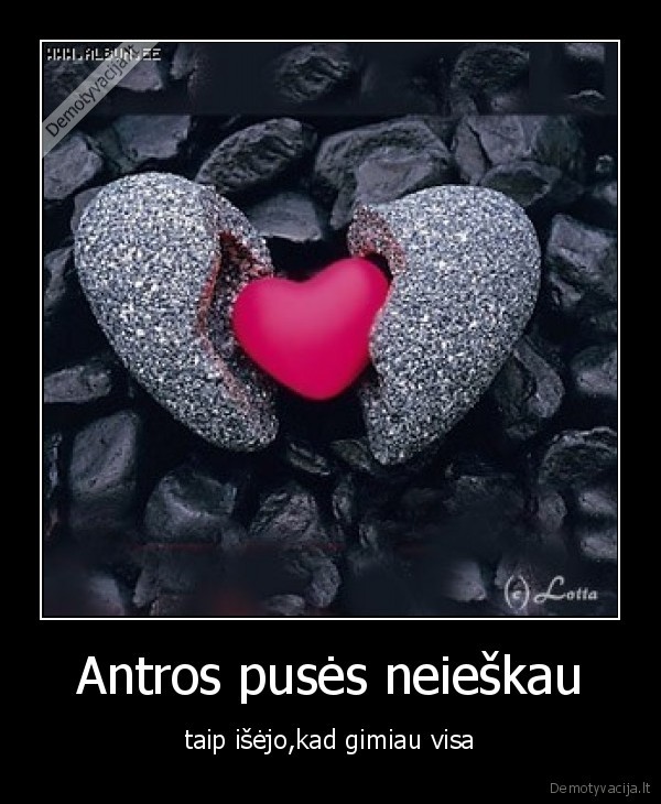 Antros pusės neieškau