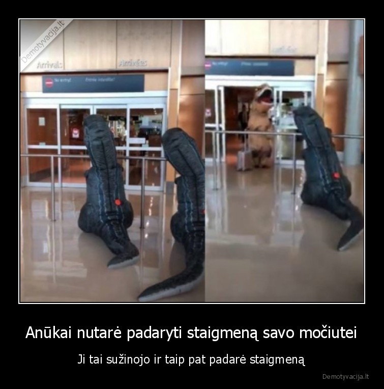mociute,anukai,staigmena,oro, uostas,dinozaurai
