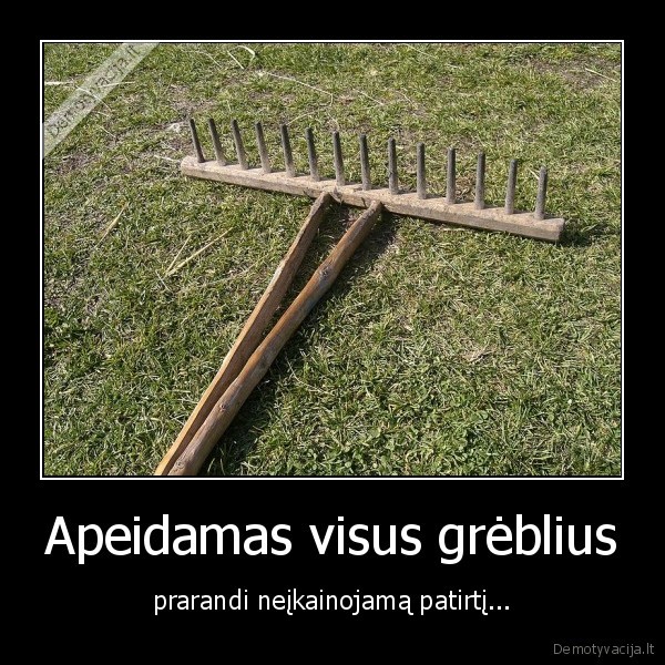 greblys,patirtis