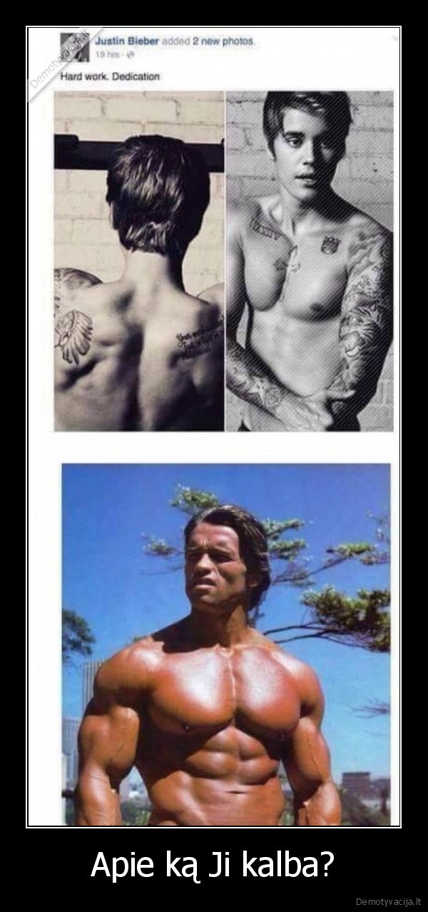 bieber,svarcas