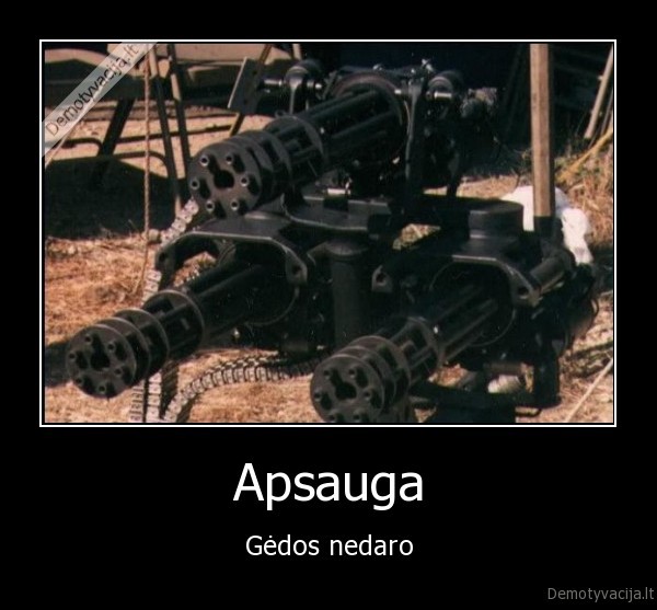Apsauga