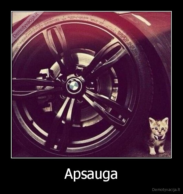 kaciukas,bmw