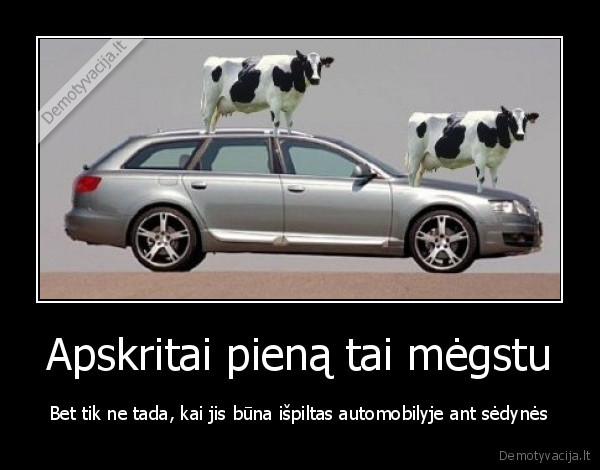 pienas,blogas, kvapas