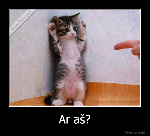 Ar aš?
