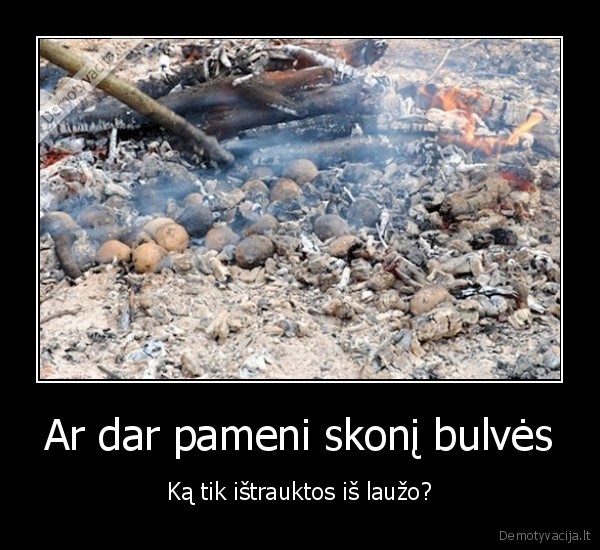 skanios, bulves,bulves, lauze