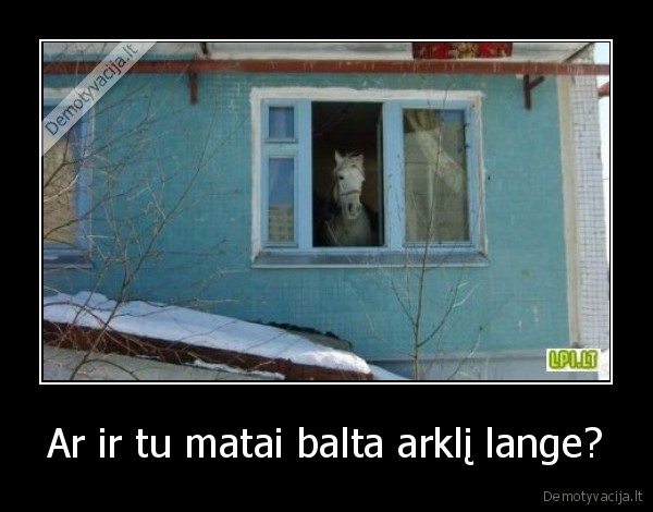 Ar ir tu matai balta arklį lange?