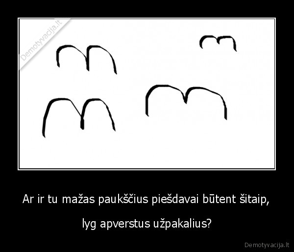 px, uzpakaliai, ar, pauksciai