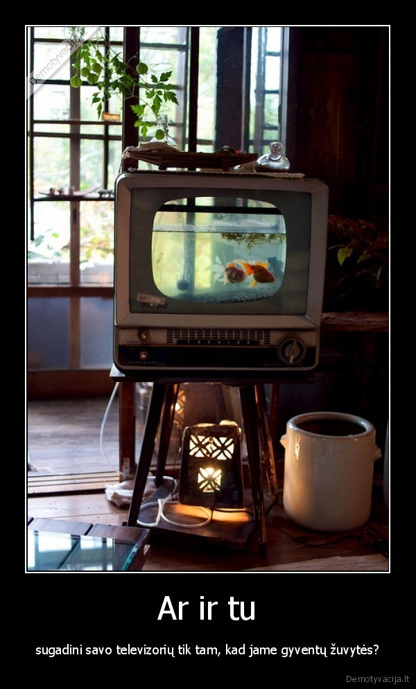 lol,gal, be, logikos,dzin,akvariumas,televizorius