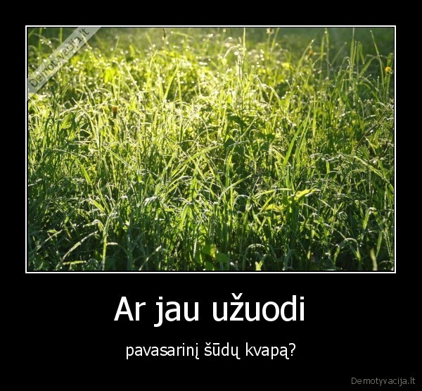 kubilius, kaltas, del, sudu