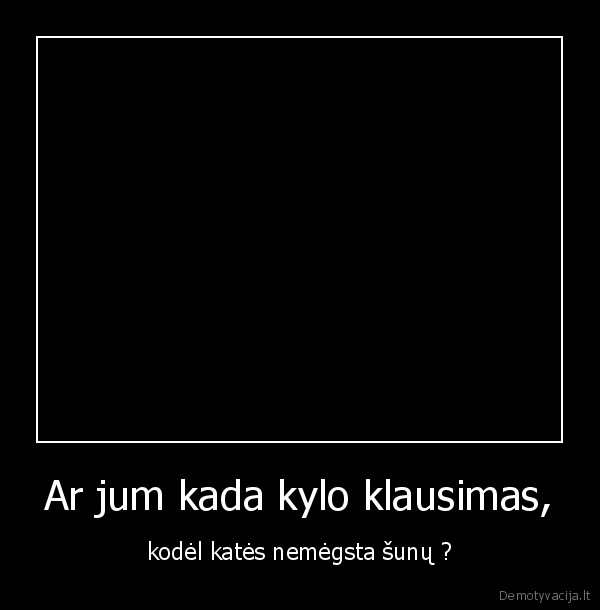 kate,suo,meile