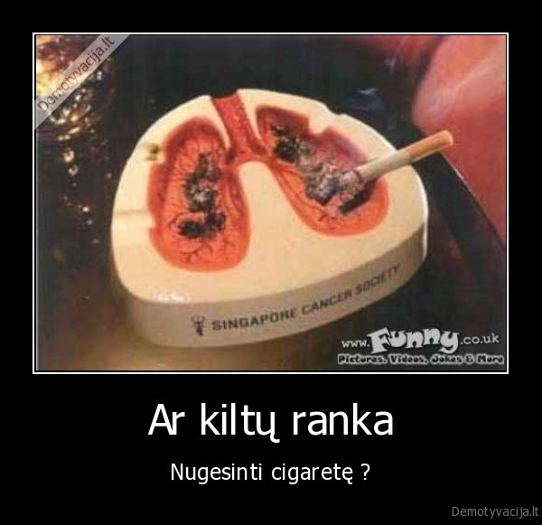 Ar kiltų ranka