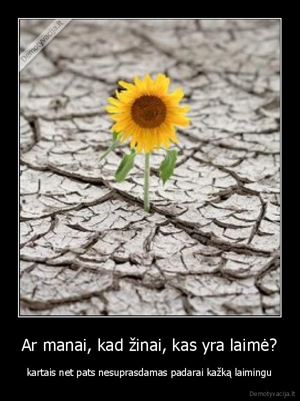 Ar manai, kad žinai, kas yra laimė?