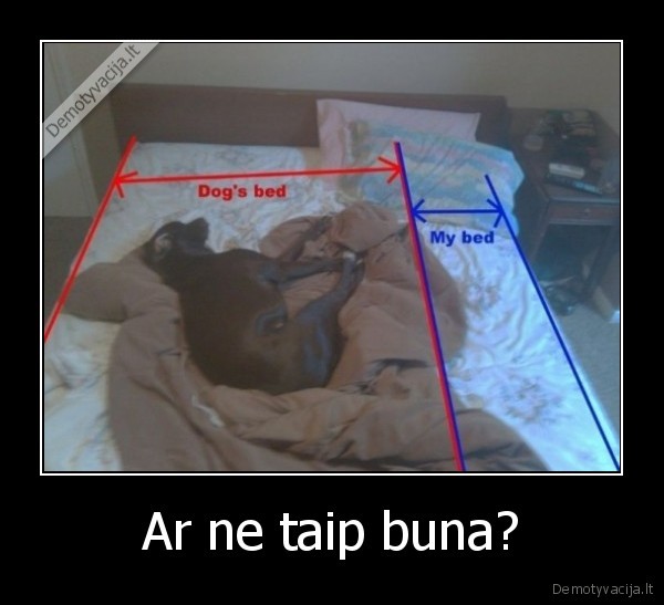 Ar ne taip buna?