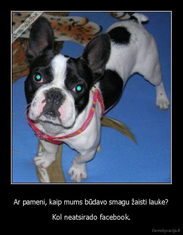 Ar pameni, kaip mums būdavo smagu žaisti lauke?