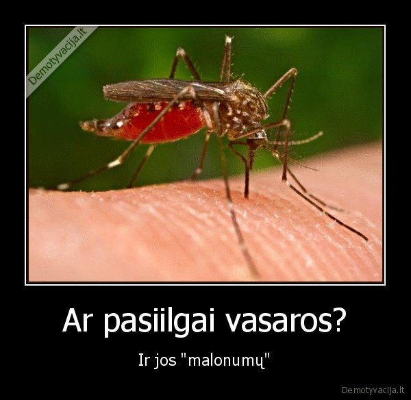 uodai,myliu,vasara