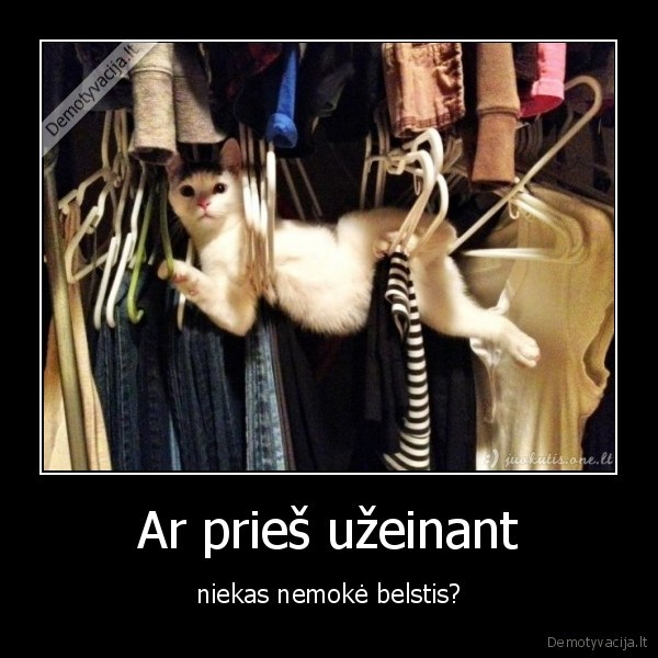 humoras