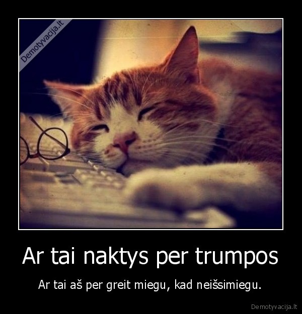 miegas,naktys