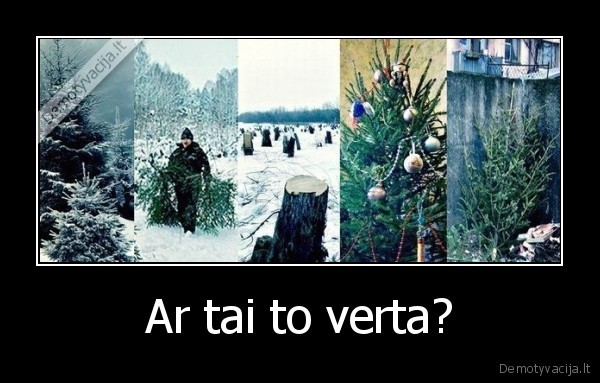 egles,miskas,kirsti