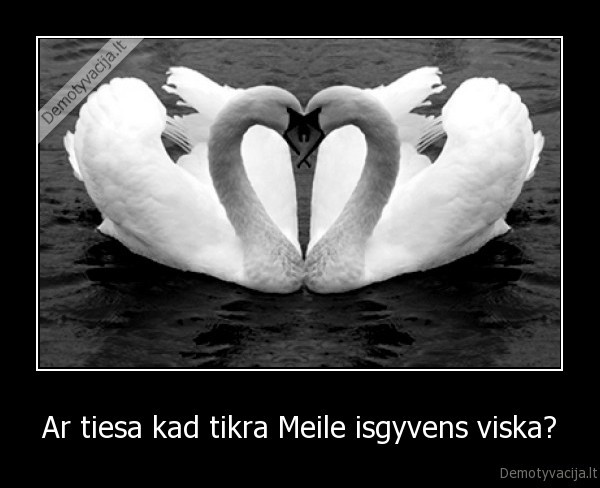 Ar tiesa kad tikra Meile isgyvens viska?