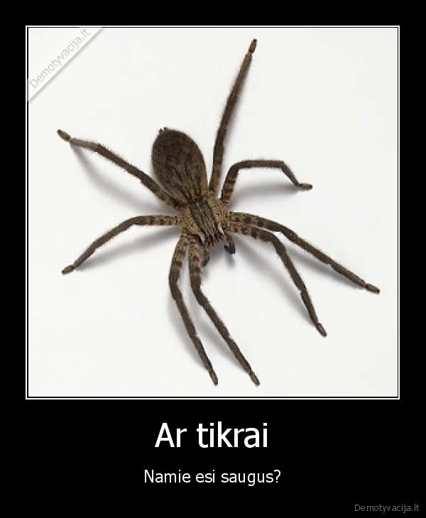 Ar tikrai