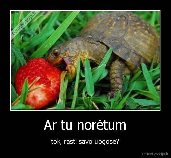 Ar tu norėtum