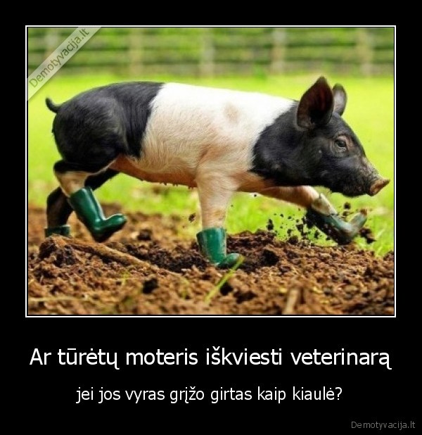 vyras,girtas,kaule,ar, turetu