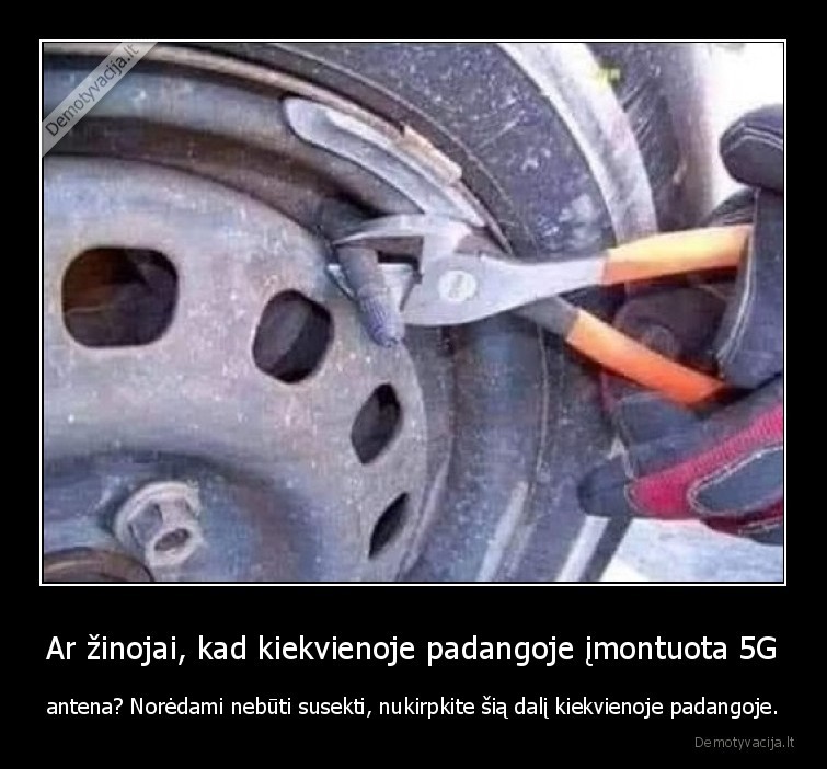 5g,rysys,padangos