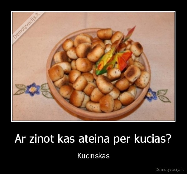 kucios, d
